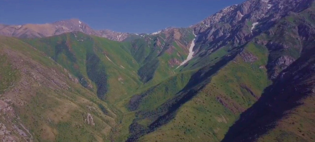 из открытых источников