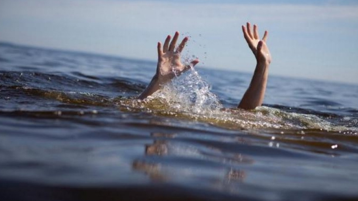 из открытых источников