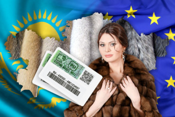 Шубы с чипами появятся в Казахстане в сентябре