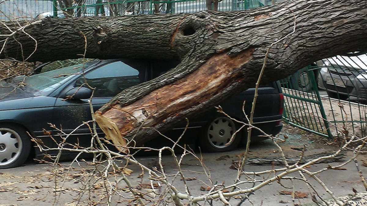 из открытых источников