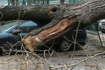 Штормовое предупреждение объявлено в двух областях Казахстана