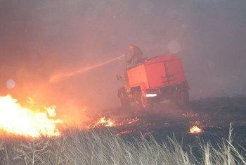 Более 300 человек по стране борются с природными пожарами