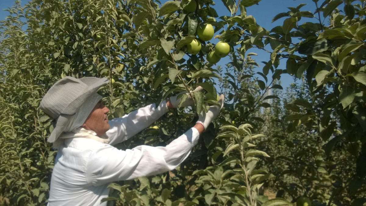 Мария Захарова