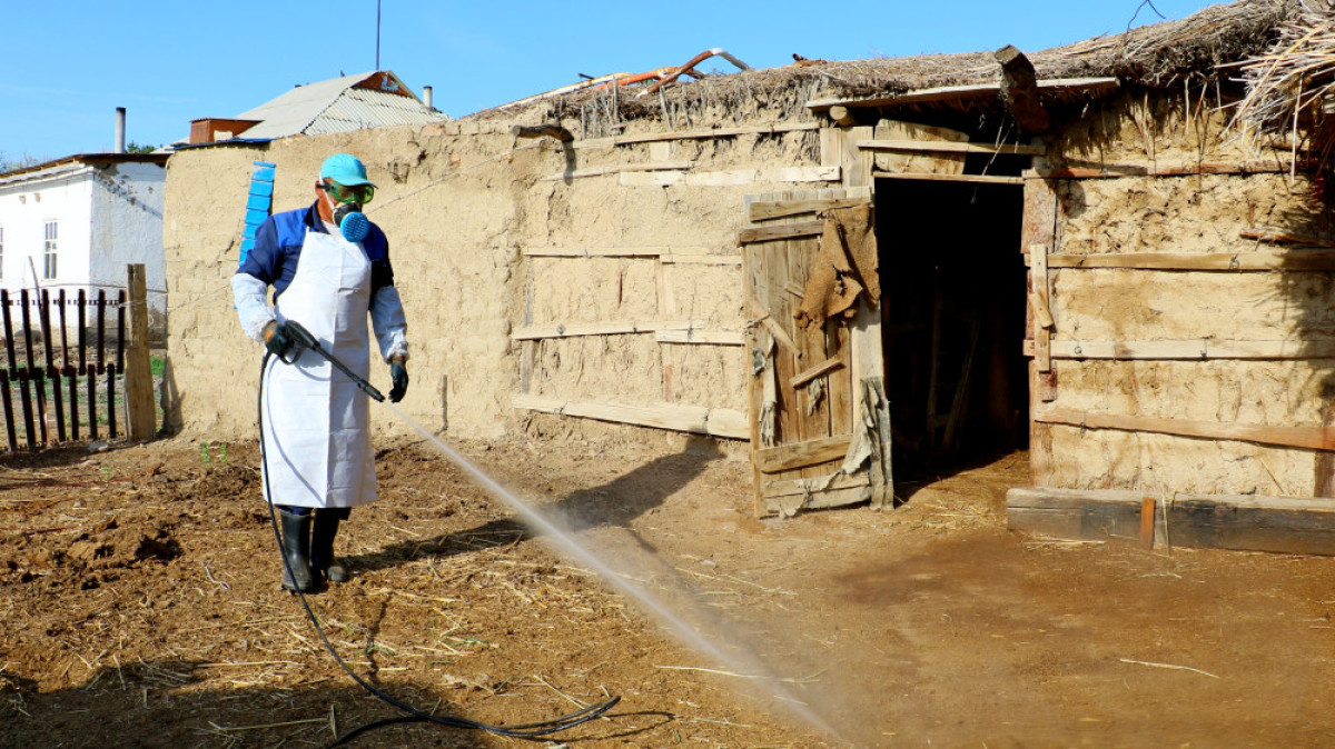 Марьяна Касимова