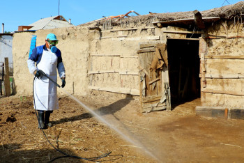 В Приаралье уже 22 человека попали в больницы с подозрением на ККГЛ