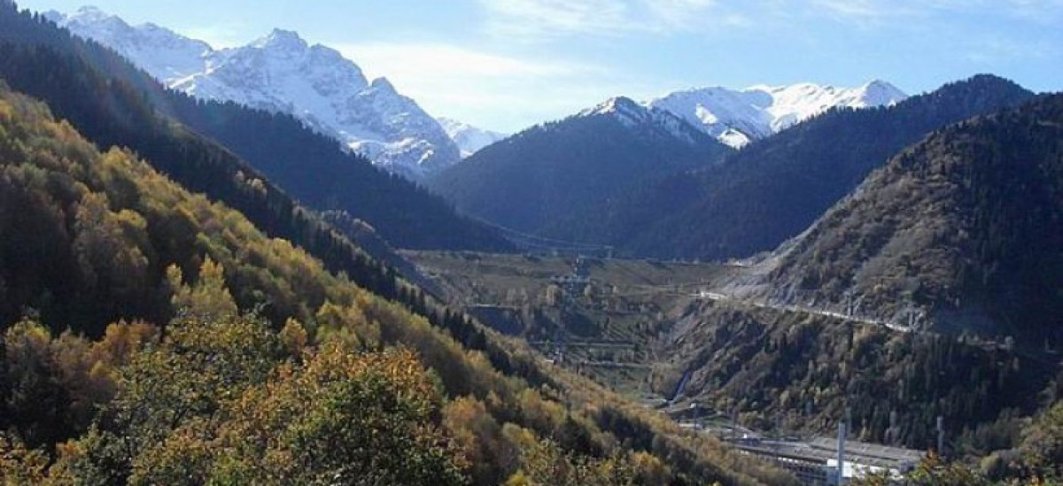 из открытых источников