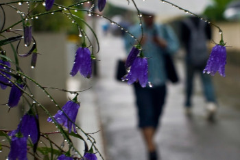 Фотография к новости: В воскресенье казахстанцев ожидают дожди с грозами