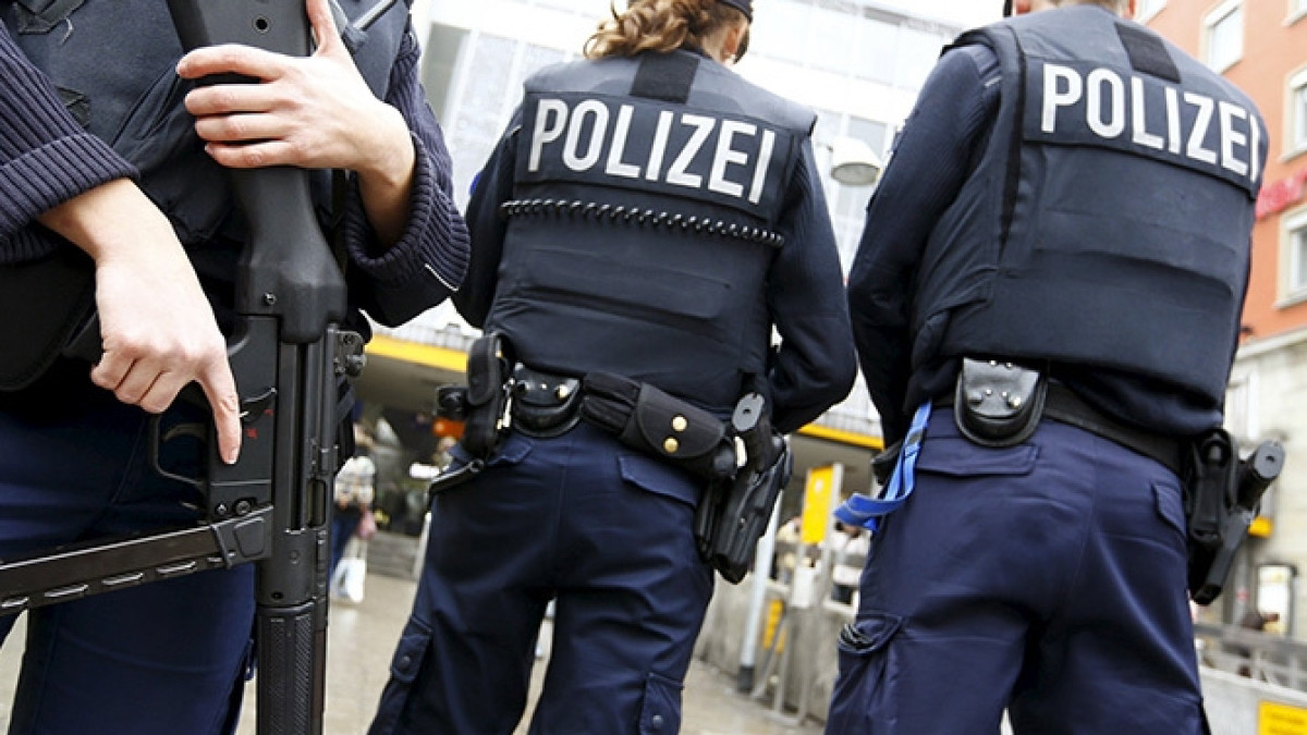 из открытых источников 