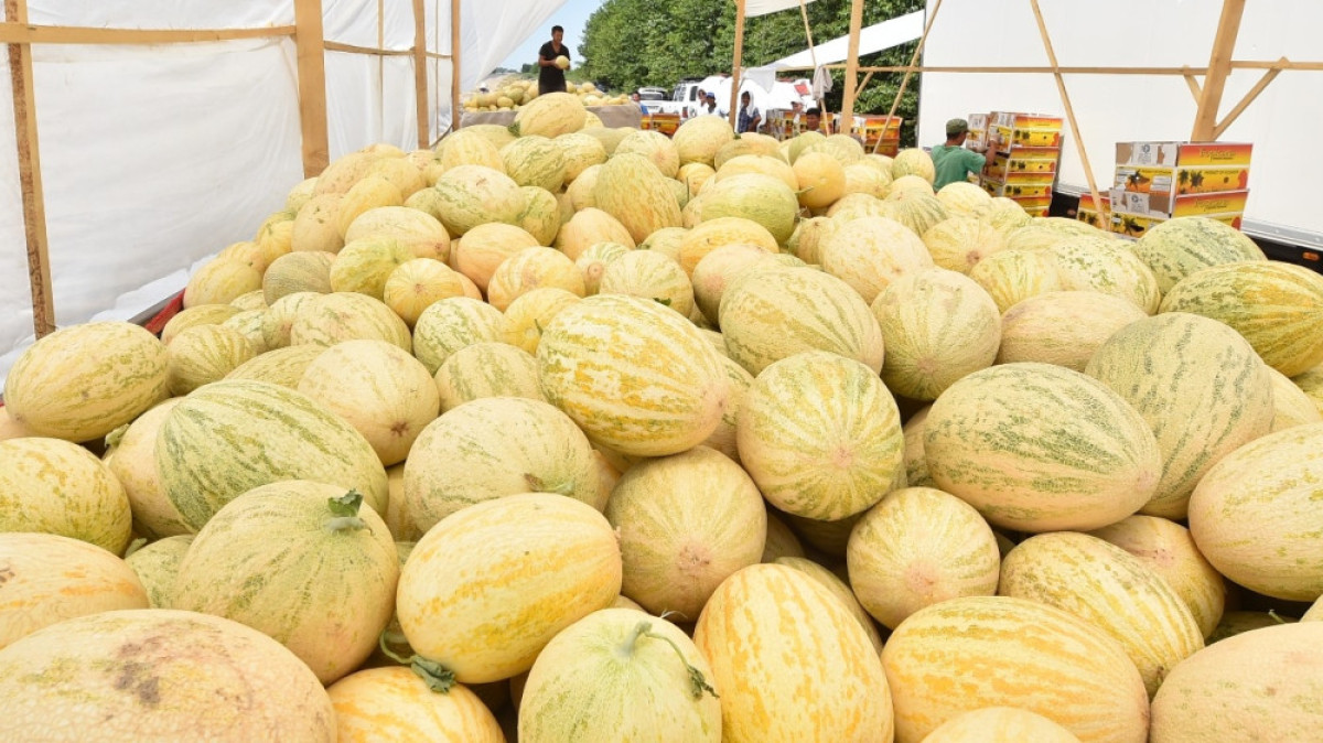 Мария Захарова