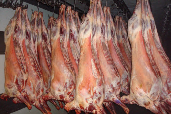 В Казахстане ожидается рост производства говядины на 40%