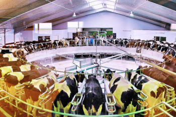 Фотография к новости: Б.Сагинтаев в СКО ознакомился с новыми технологиями в сельском хозяйстве