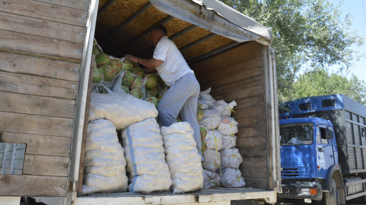 Из ЮКО в столицу отправился караван сельскохозяйственной продукции