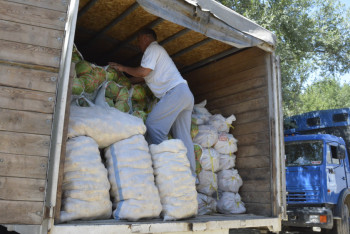 Из ЮКО в столицу отправился караван сельскохозяйственной продукции