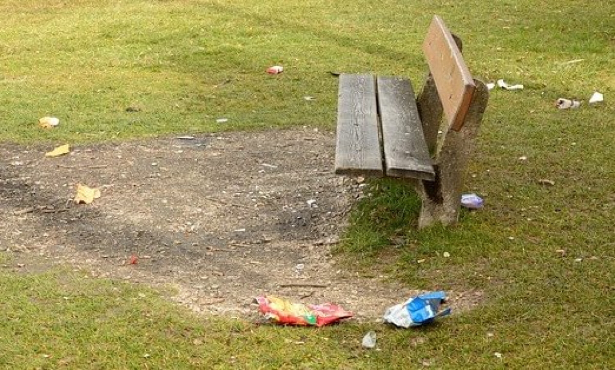 из открытых источников