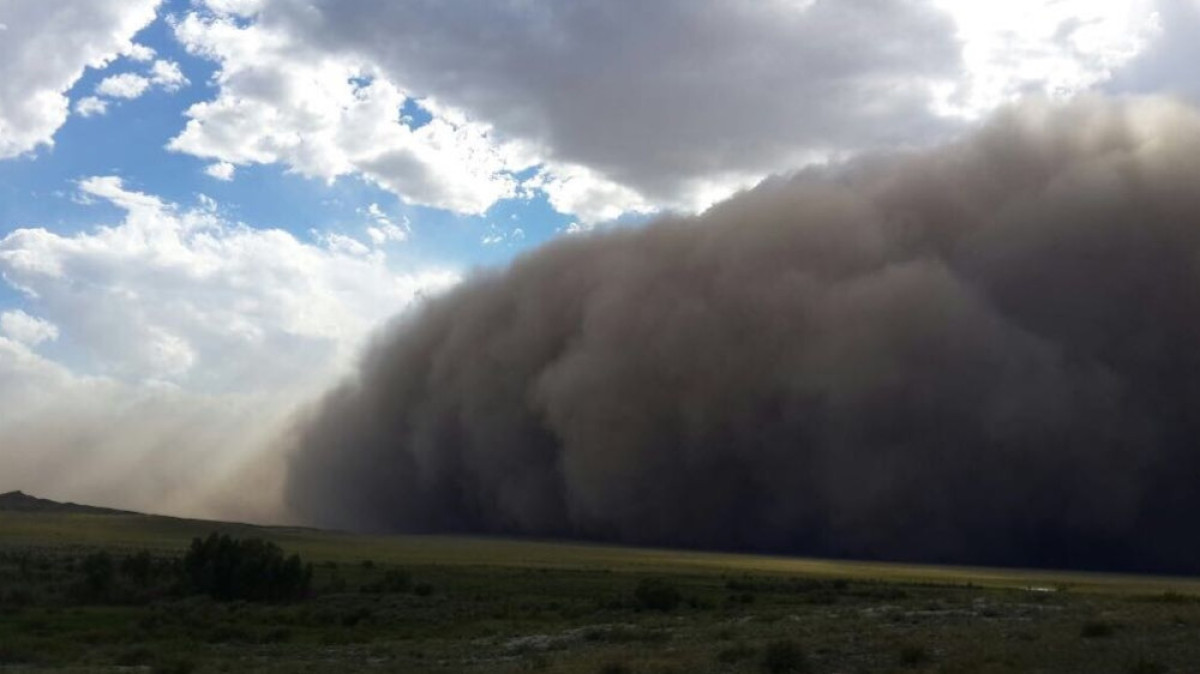 из соцсетей 