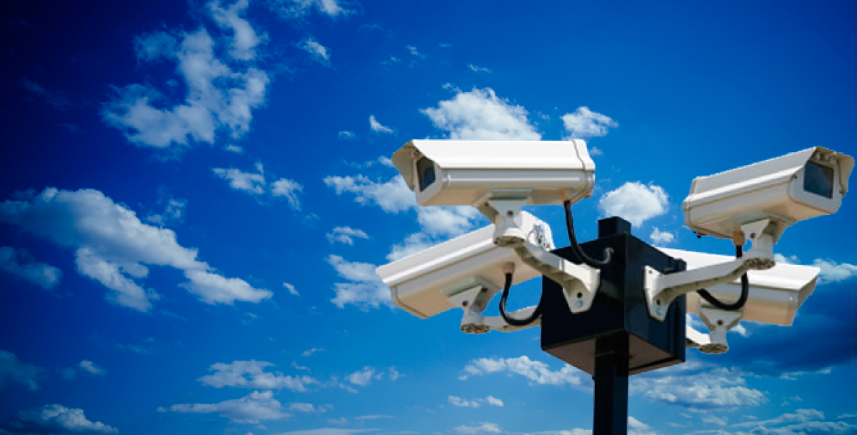 из открытых источников