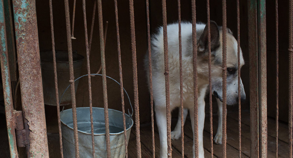 из открытых источников