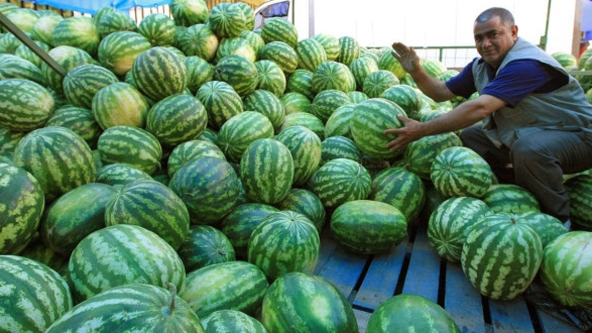 фото взято с сайта РИА Новости