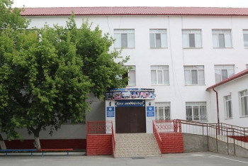 Как сельский аким в Алматинской области взял под опеку шестерых детей из детдома