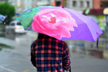 Фотография к новости: В Казахстане ожидаются дожди и сильный ветер