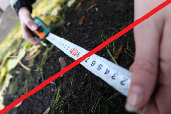 Полиция Алматы разыскивает пострадавших от действий «земельного» мошенника