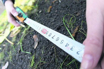 В ВКО создадут базу данных пригодных для бизнеса участков