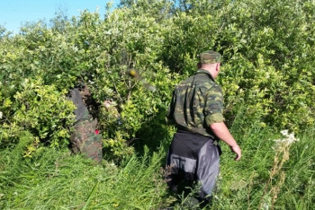 В СКО нашли тело потерявшегося 6-летнего мальчика