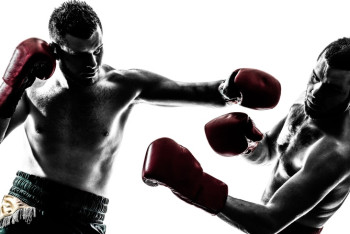 Фотография к новости: Казахстанские боксеры сохранили позиции рейтинга WBC