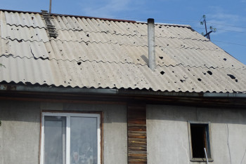 В Акмолинской области подсчитывают нанесенный градом ущерб