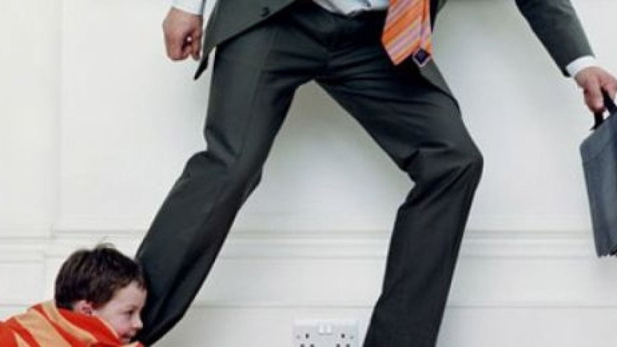 из свободных источников 