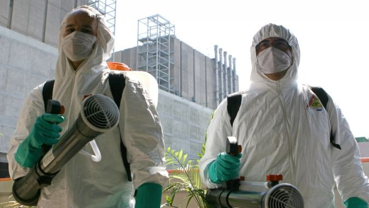 Из открытых источников 