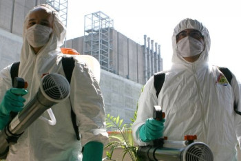 В Кызылординской области проводится дезинсекционная обработка территории