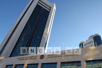 Мажилис согласился с поправками Сената по законопроекту о лишении гражданства