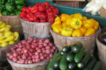 Около 100 тонн подкарантинной продукции возвращено на территорию стран-экспортеров