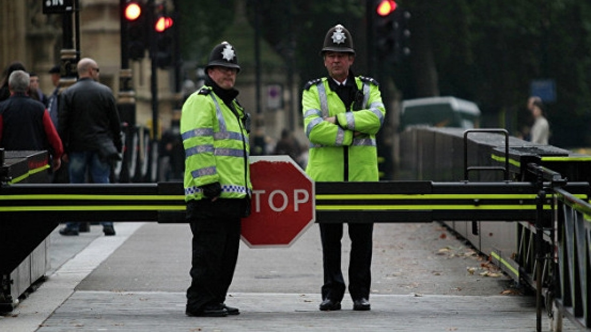 из свободных источников 