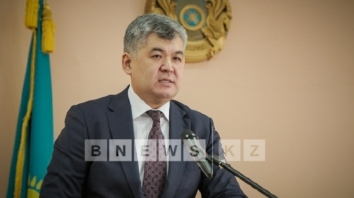 Мы должны создать в стране индустрию здоровья - Е. Биртанов