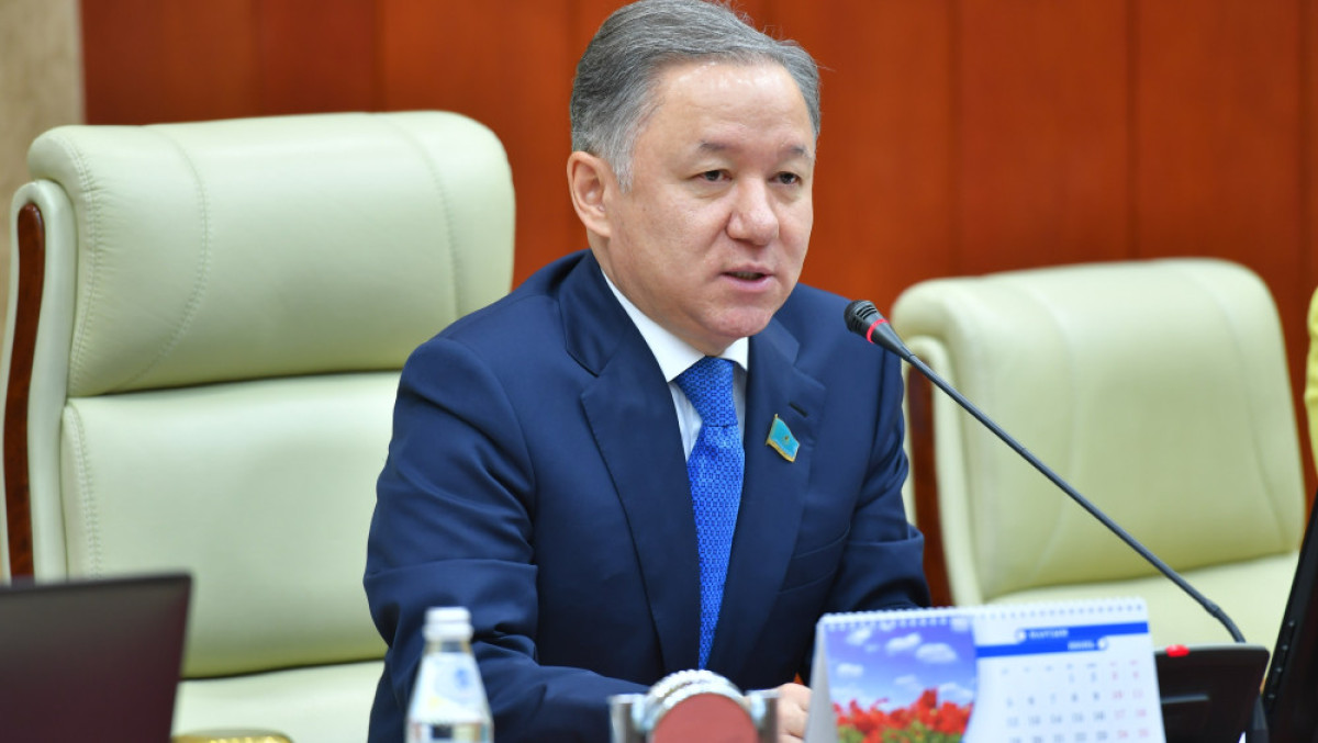 Н.Нигматулин: Необходимо навести порядок в сфере рекламы  