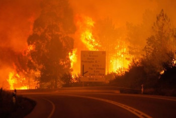 Фотография к новости: В Португалии 16 человек сгорели в машинах из-за лесных пожаров