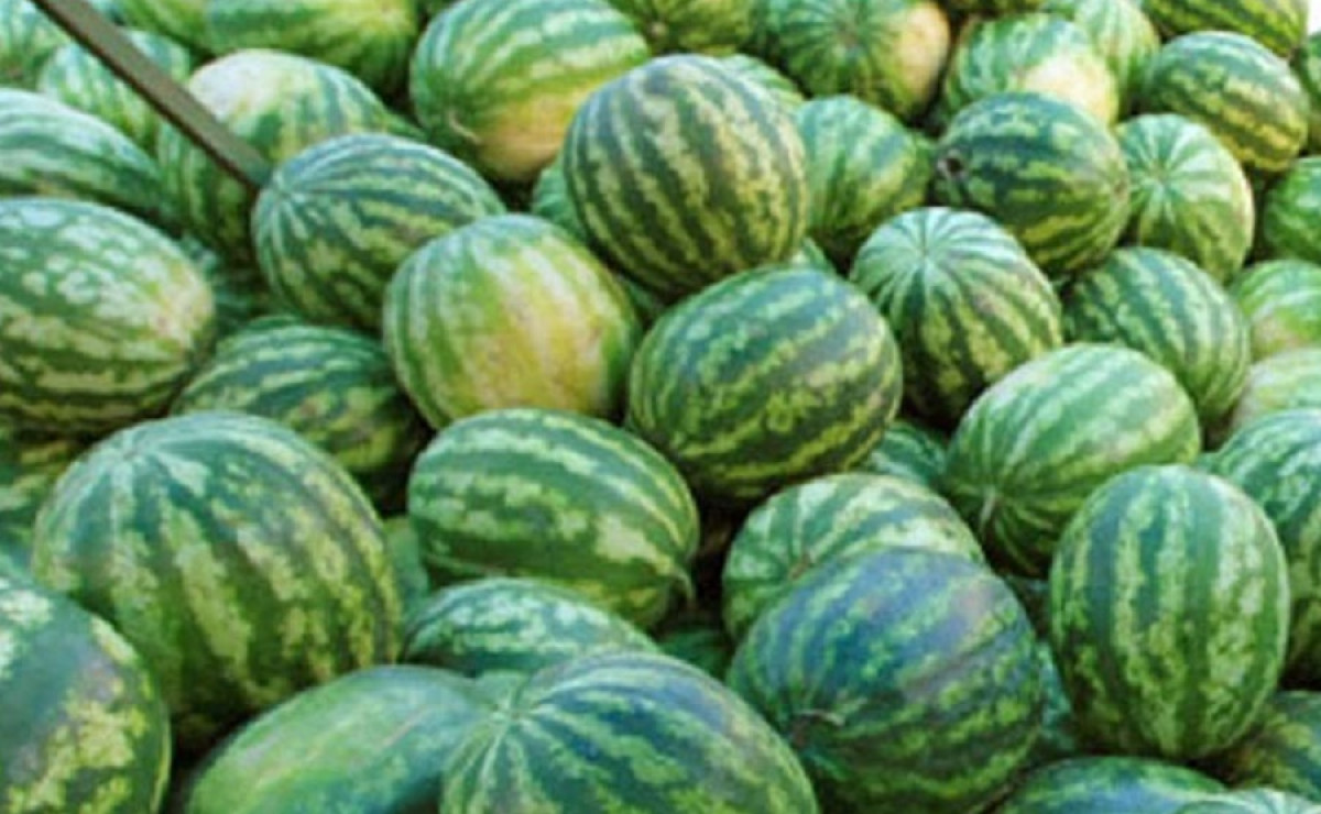 Из открытых источников 