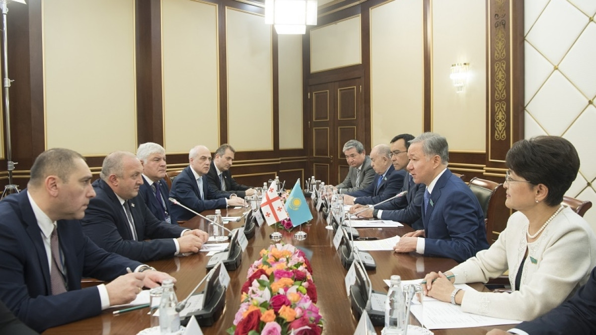 Казахстанским депутатам интересен опыт грузинских коллег - Н.Нигматулин