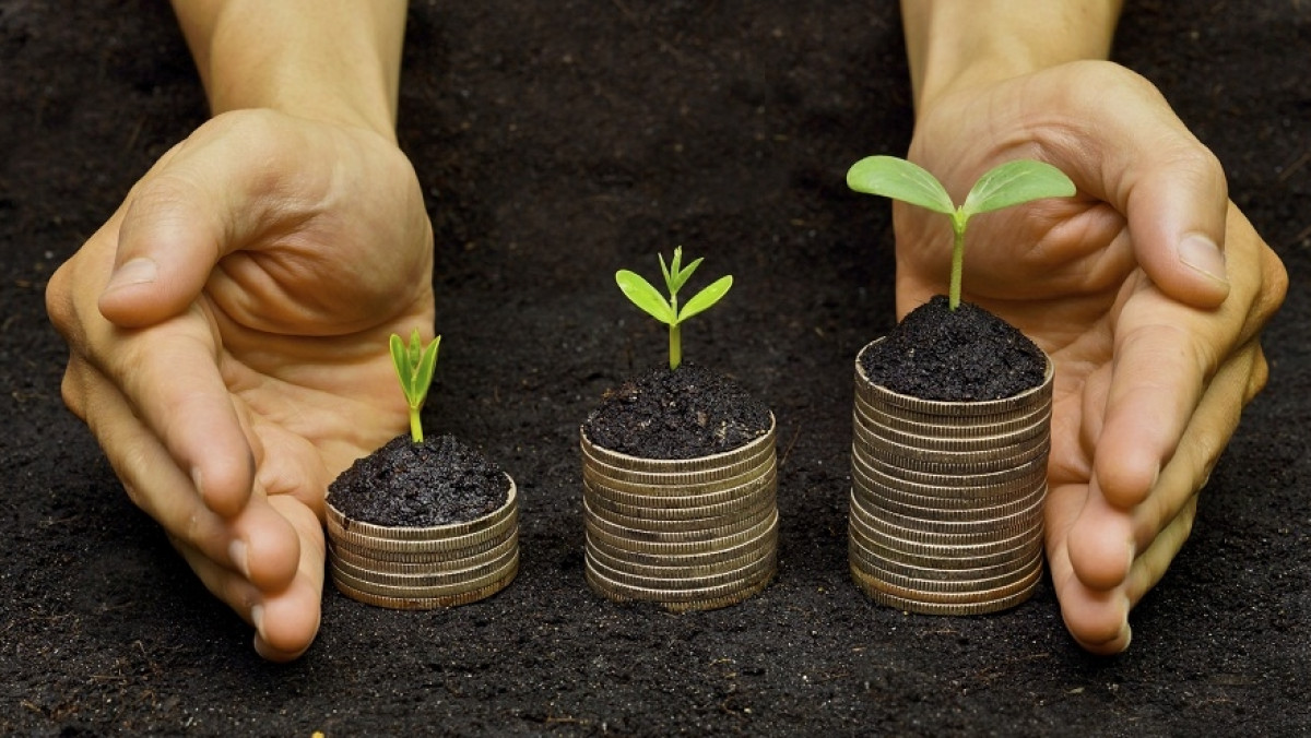 из открытых источников