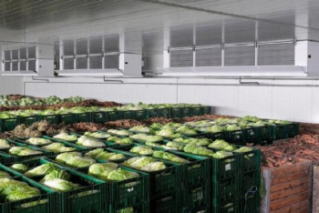 Россельхознадзор вернул большую партию плодово-овощной продукции в Казахстан