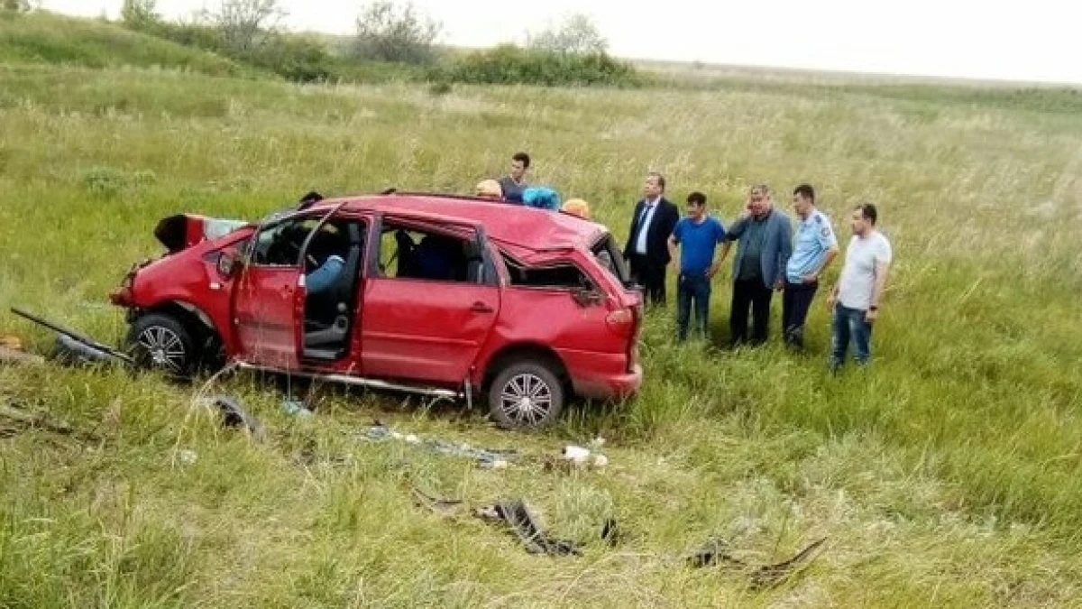 очевидцы