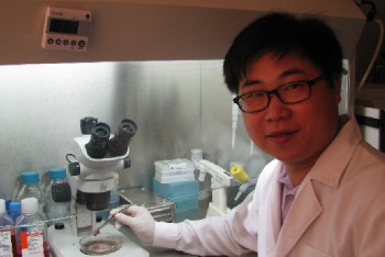 Казахстанский ученый придумал гидрогель для лечения коленных суставов