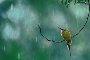 На завтра синоптики прогнозируют понижение температуры, ливни, град и шквалистый ветер