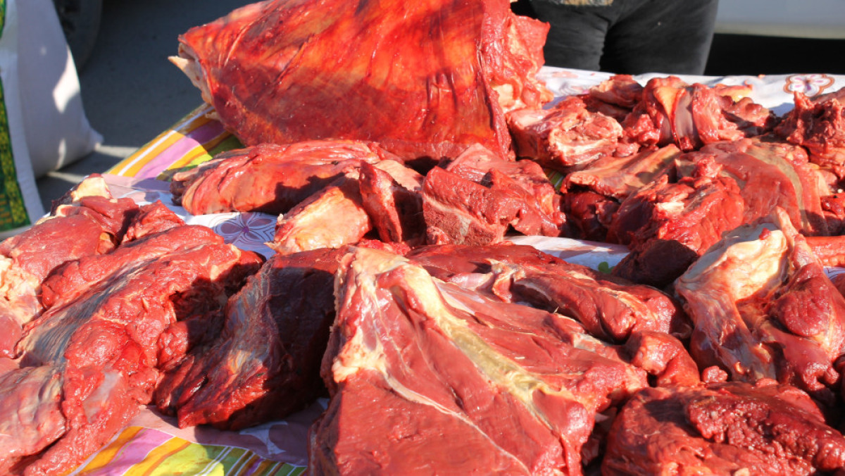 Марьяна Касимова