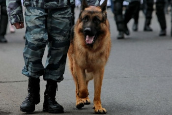 200 детей эвакуировали из «заминированных» детских садов Алматинской области