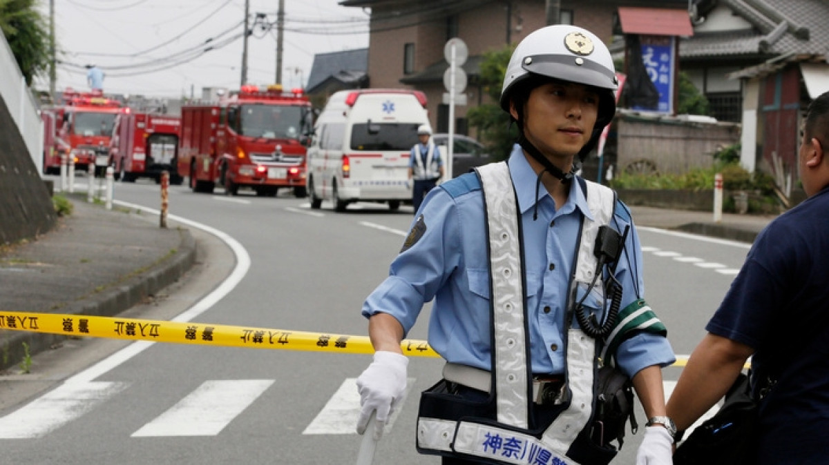 из свободных источников 