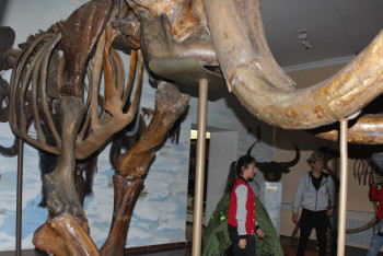 Ожившие экспонаты: Краеведческий музей в Павлодаре поставил рекорд