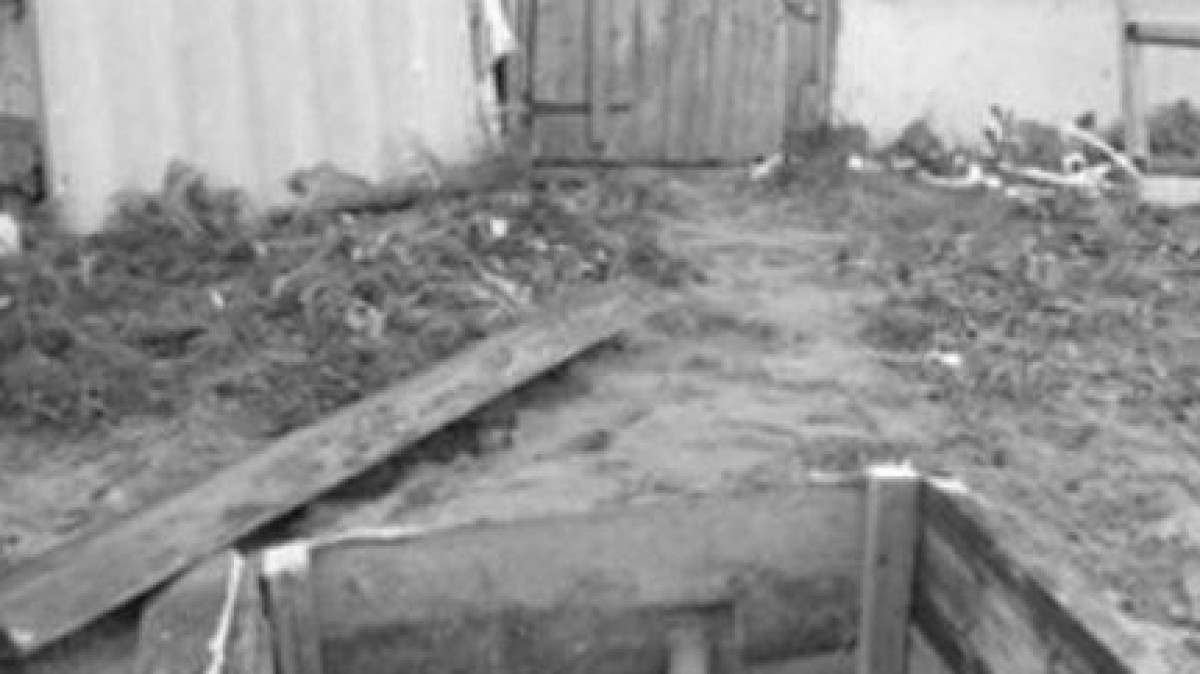 из свободных источников 